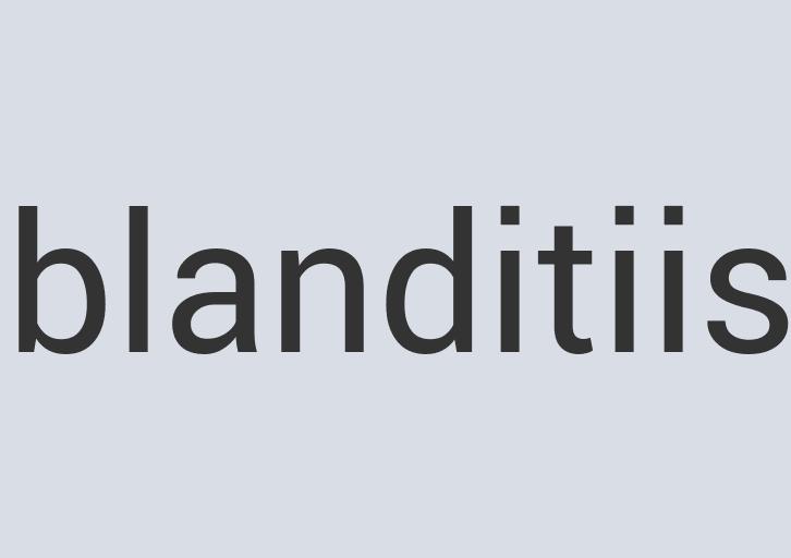 Gorgeous Granite Road Rodent