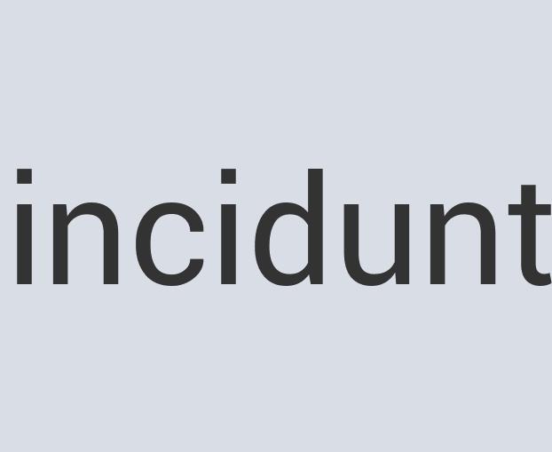 Aerodynamic Wooden Netwonderman