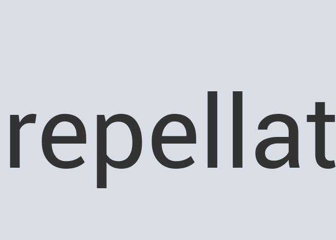 Awesome Copper Wolf Wear