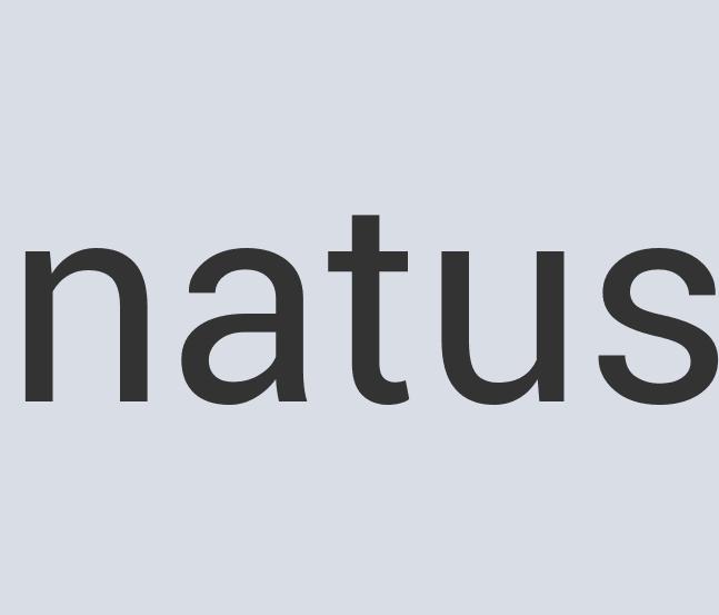 Aerodynamic Wooden Netwonderman