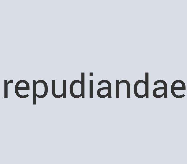 Heavy Duty Aluminum Practical Pork